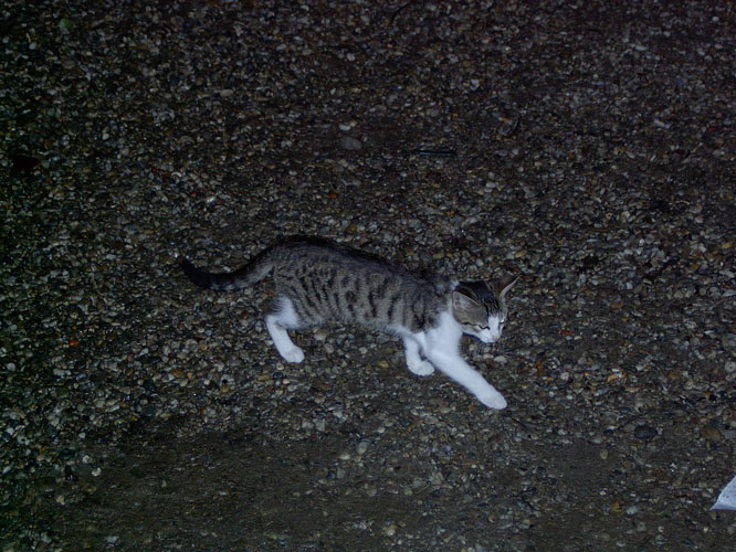 Foto der K-Party vom 24.09.04